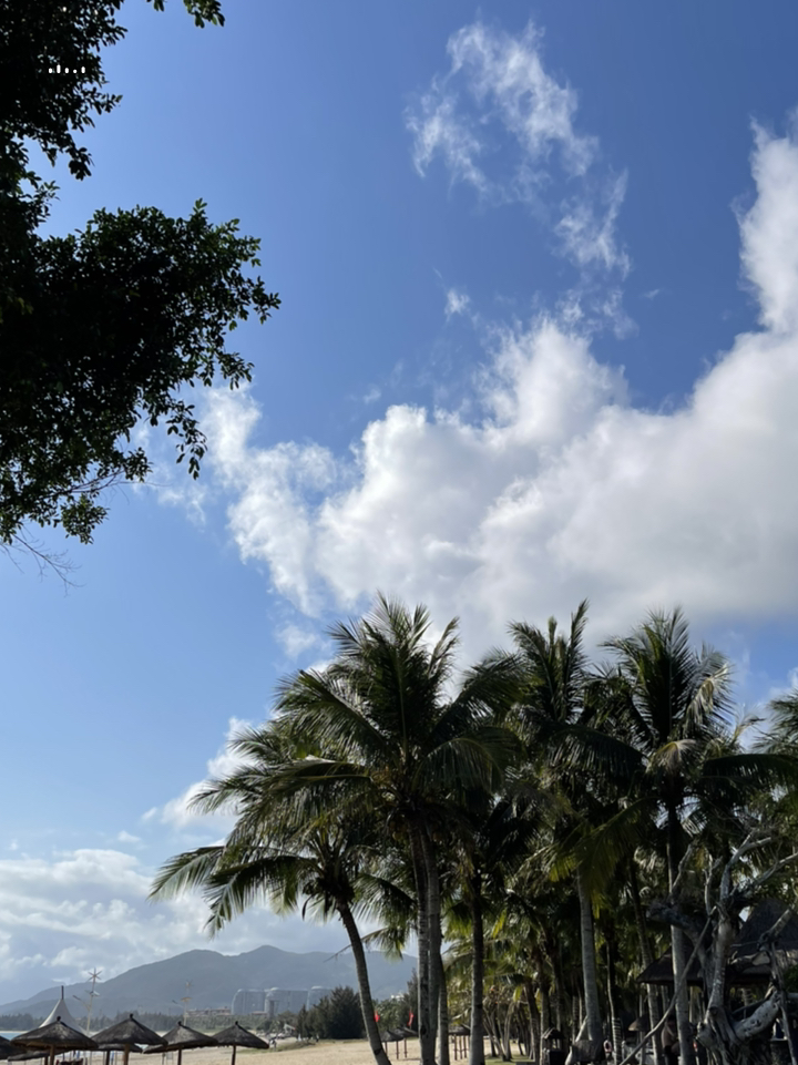 海南盛会，致敬领导与朋友们的美好时光