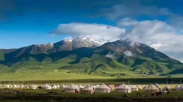 新疆技能学习指南，从入门到进阶的实用指南